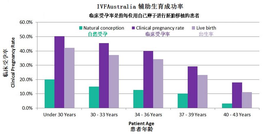 澳洲试管婴儿成功率 Austar